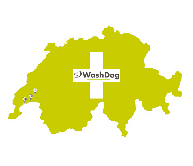 Forme de la Suisse en vert avec une croix blanche au centre et le logo Wash Dog